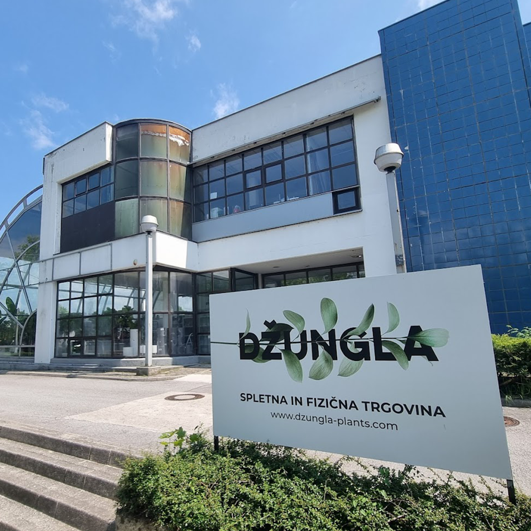 Delavnica Rastlinskih Terarijev kurbus