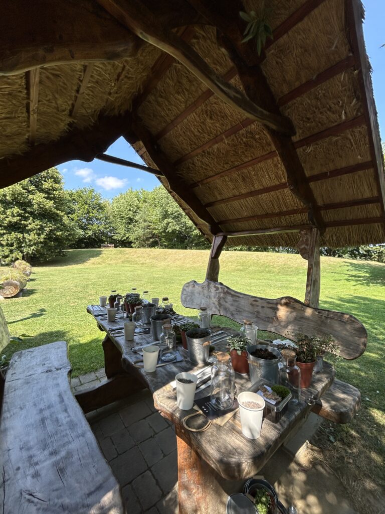 Teambuilding Delavnice Rastlinskih Terarijev