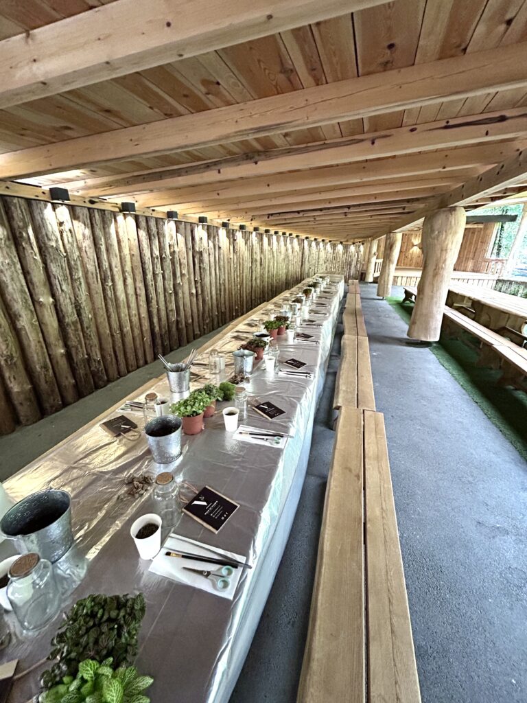 Teambuilding Delavnice Rastlinskih Terarijev