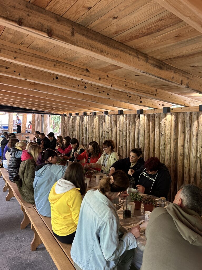 Teambuilding Delavnice Rastlinskih Terarijev