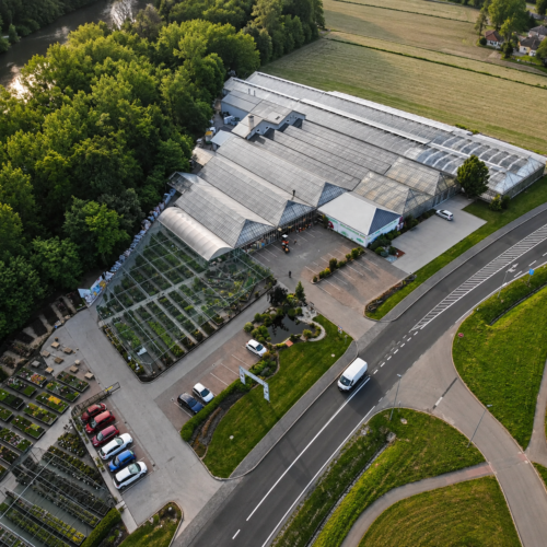 Delavnica Rastlinskih Terarijev