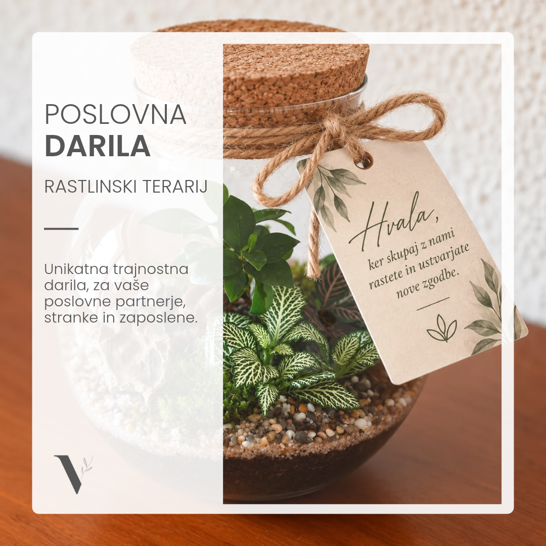 Poslovna darila - Rastlinski terarij
